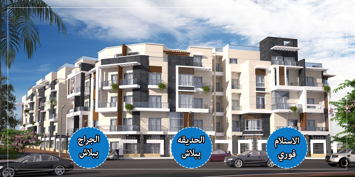 71149941_128448855209466_991273989445779456_n